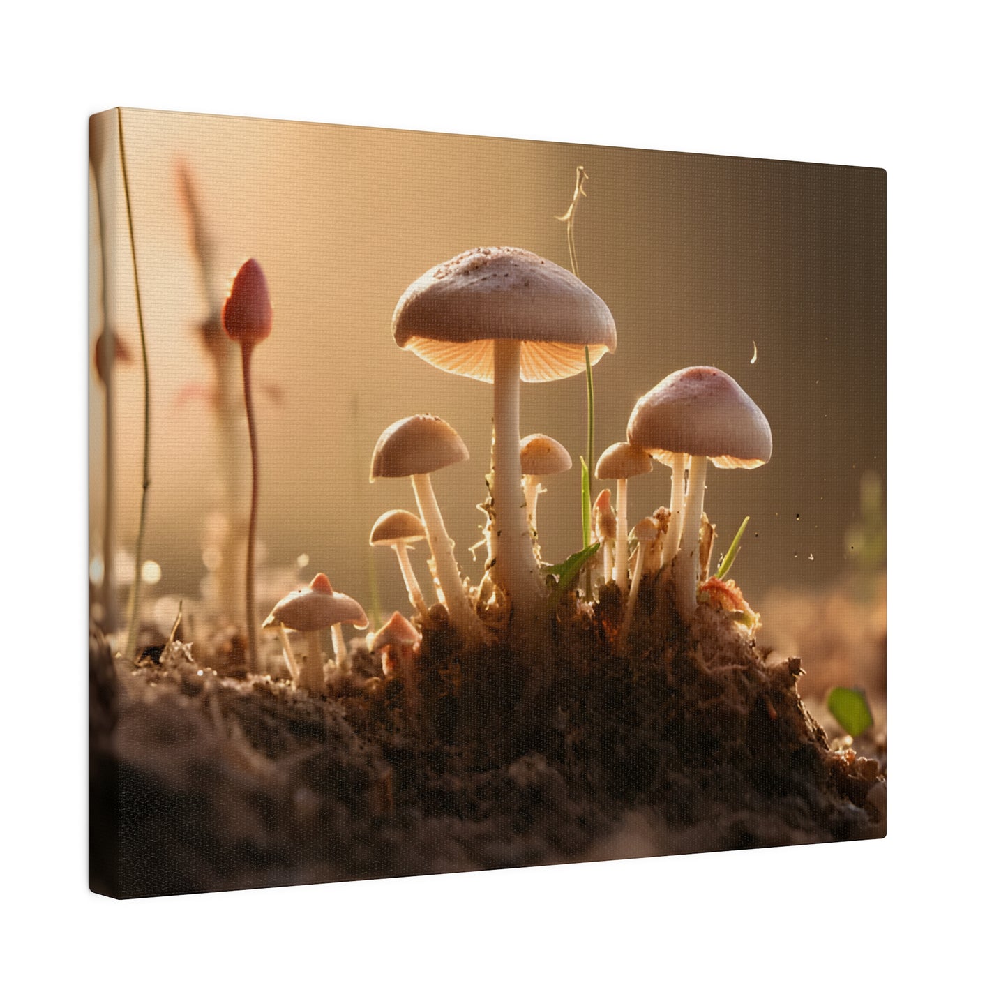 Tiny Mushrooms Matte Canvas, Stretched, 0.75" pn028