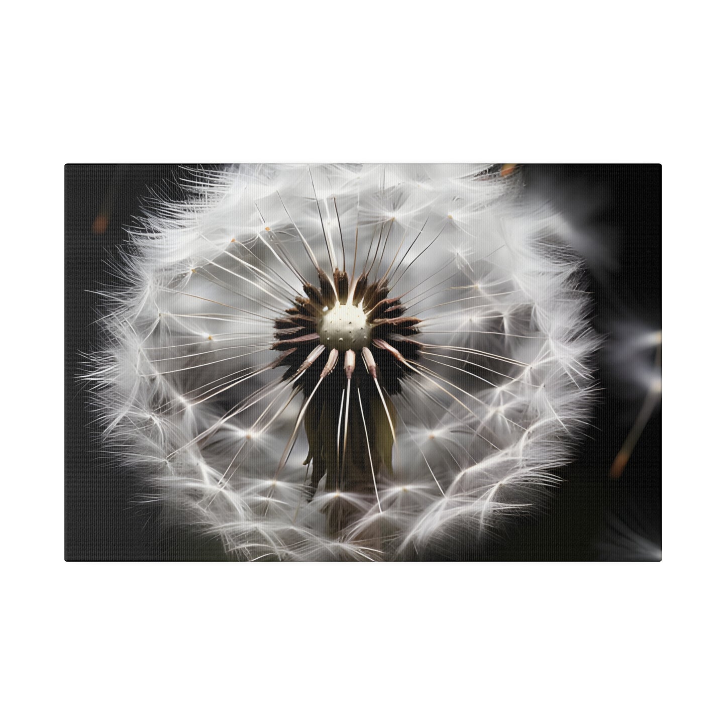 Dandelion Matte Canvas, Stretched, 0.75" pn022