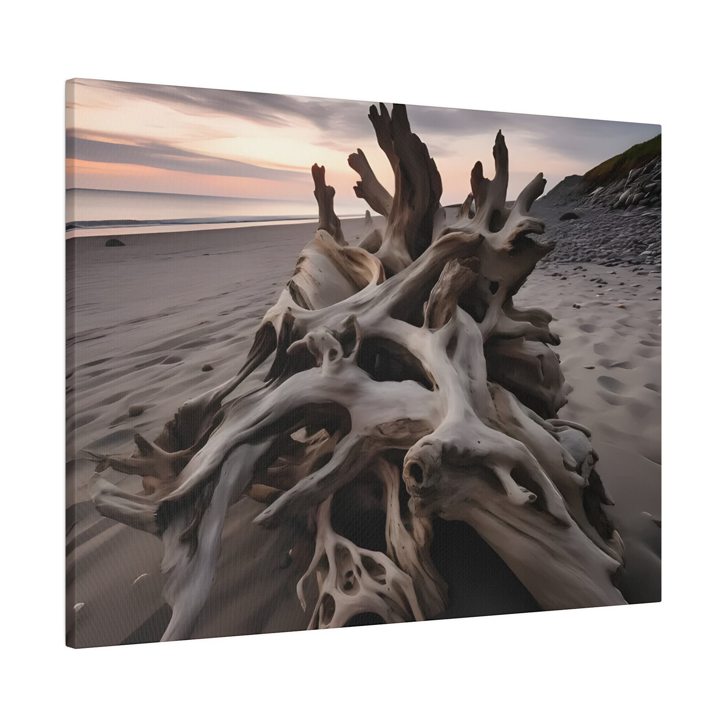 Drift Wood Matte Canvas, Stretched, 0.75" pn013