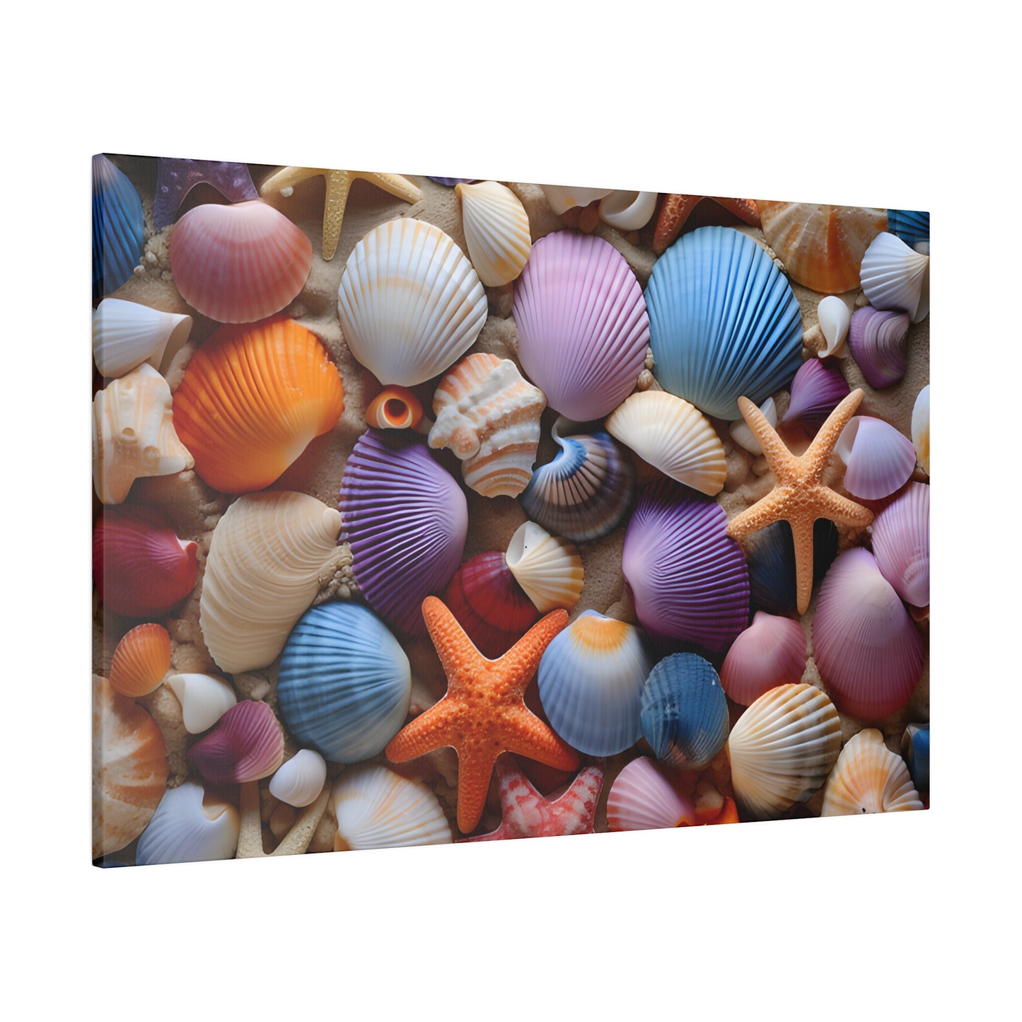 Starfish and Seashells Matte Canvas, Stretched, 0.75" pn003