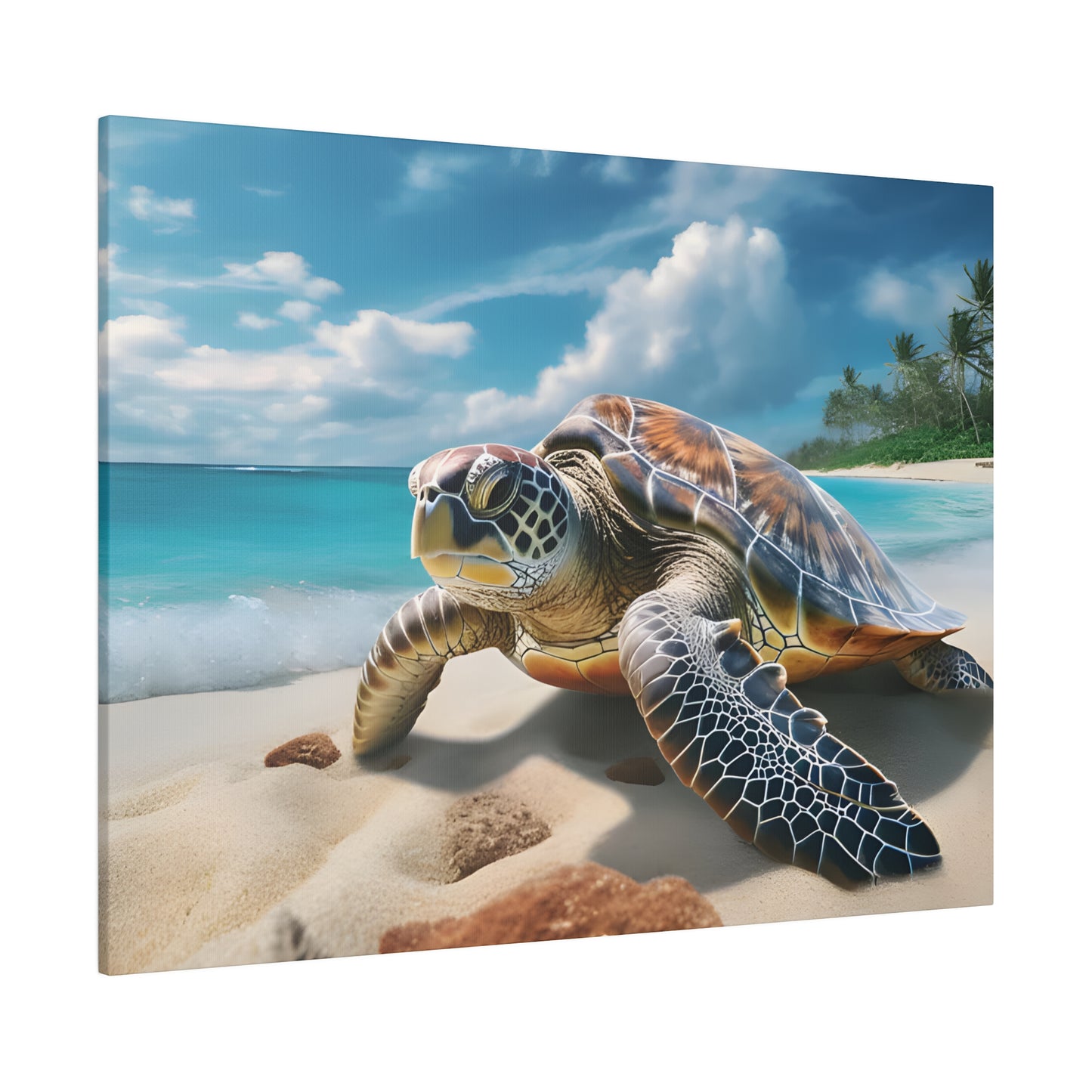 Sea Turtle Matte Canvas, Stretched, 0.75" pn019