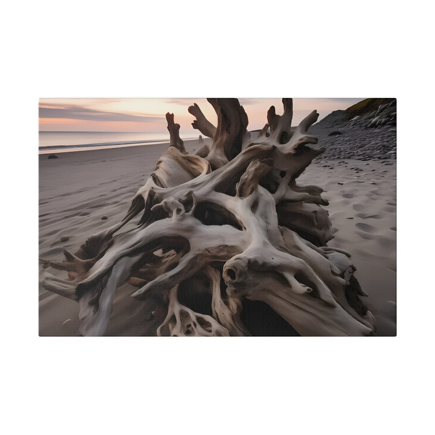 Drift Wood Matte Canvas, Stretched, 0.75" pn013