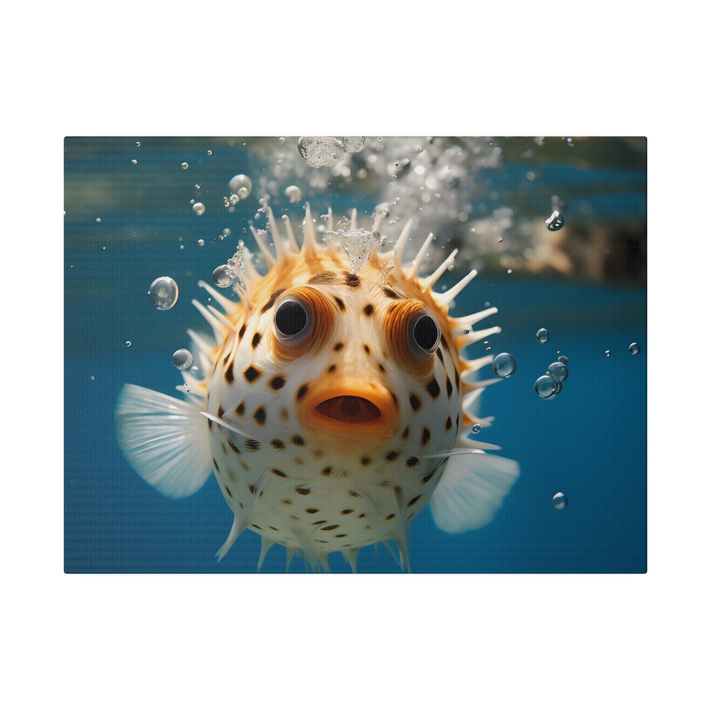 Pufferfish Matte Canvas, Stretched, 0.75" pn007