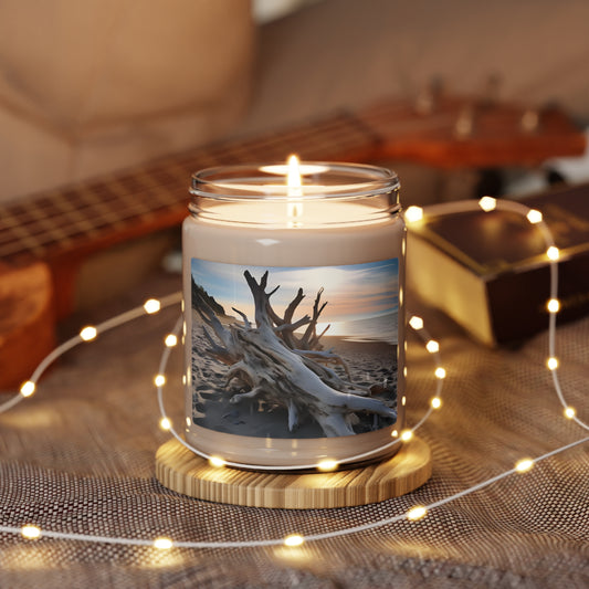 Drift Wood Scented Soy Candle, 9oz