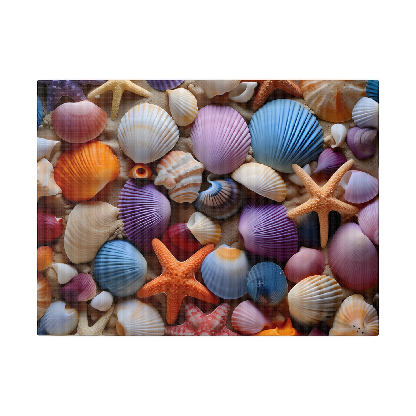 Starfish and Seashells Matte Canvas, Stretched, 0.75" pn003