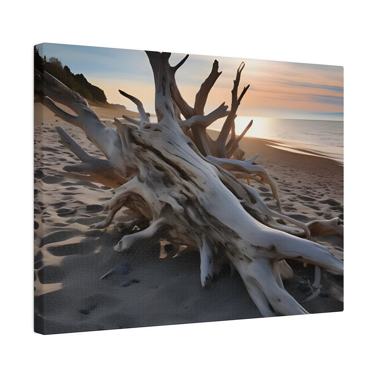 Drift Wood Matte Canvas, Stretched, 0.75" pn012