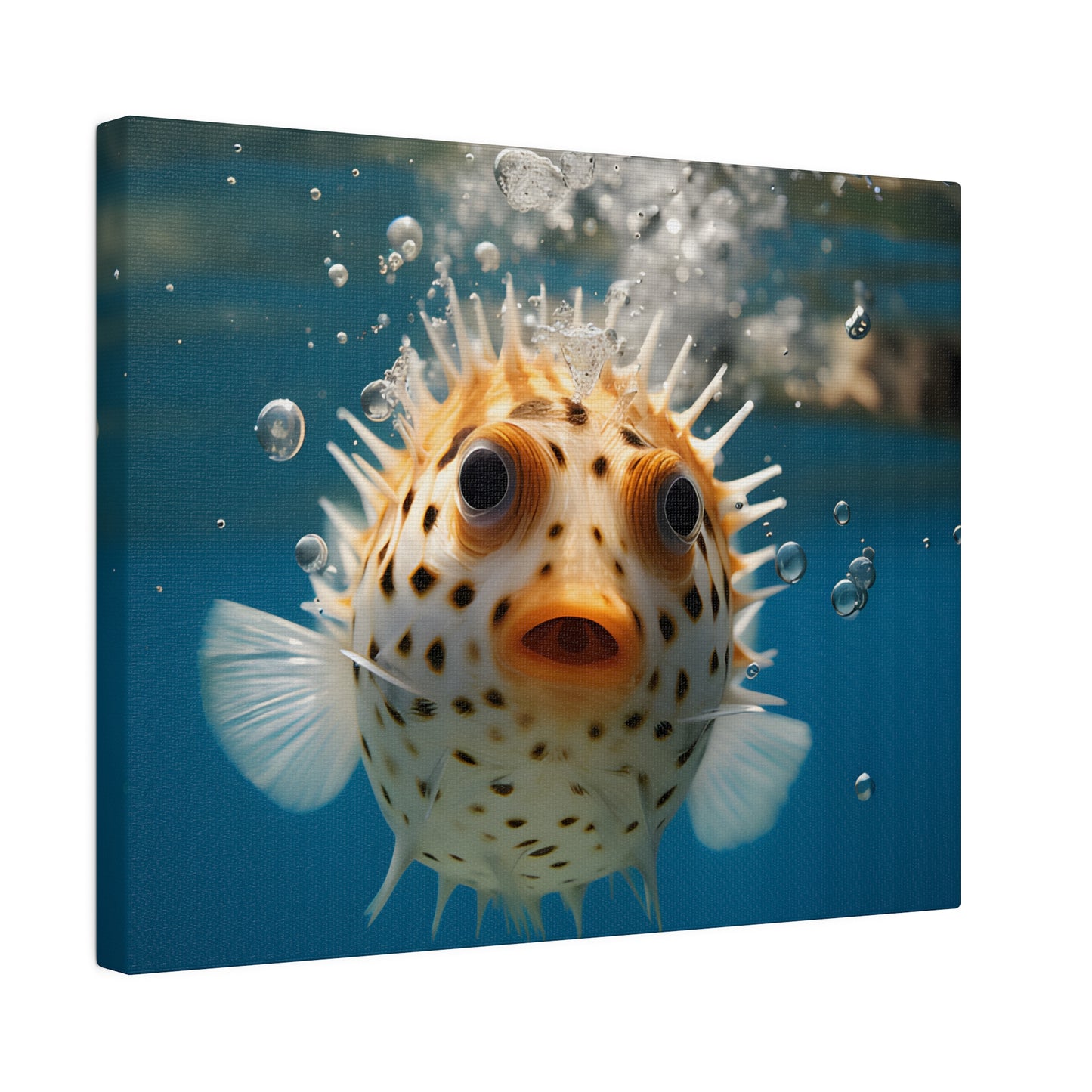 Pufferfish Matte Canvas, Stretched, 0.75" pn007