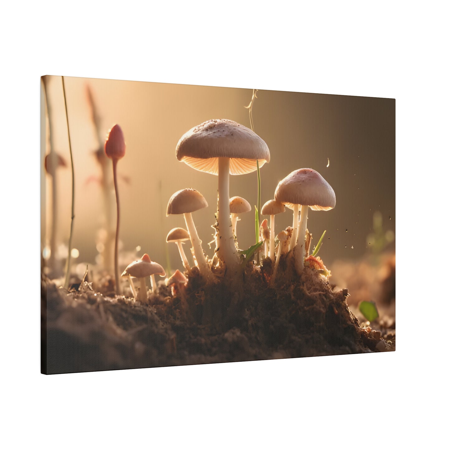 Tiny Mushrooms Matte Canvas, Stretched, 0.75" pn028