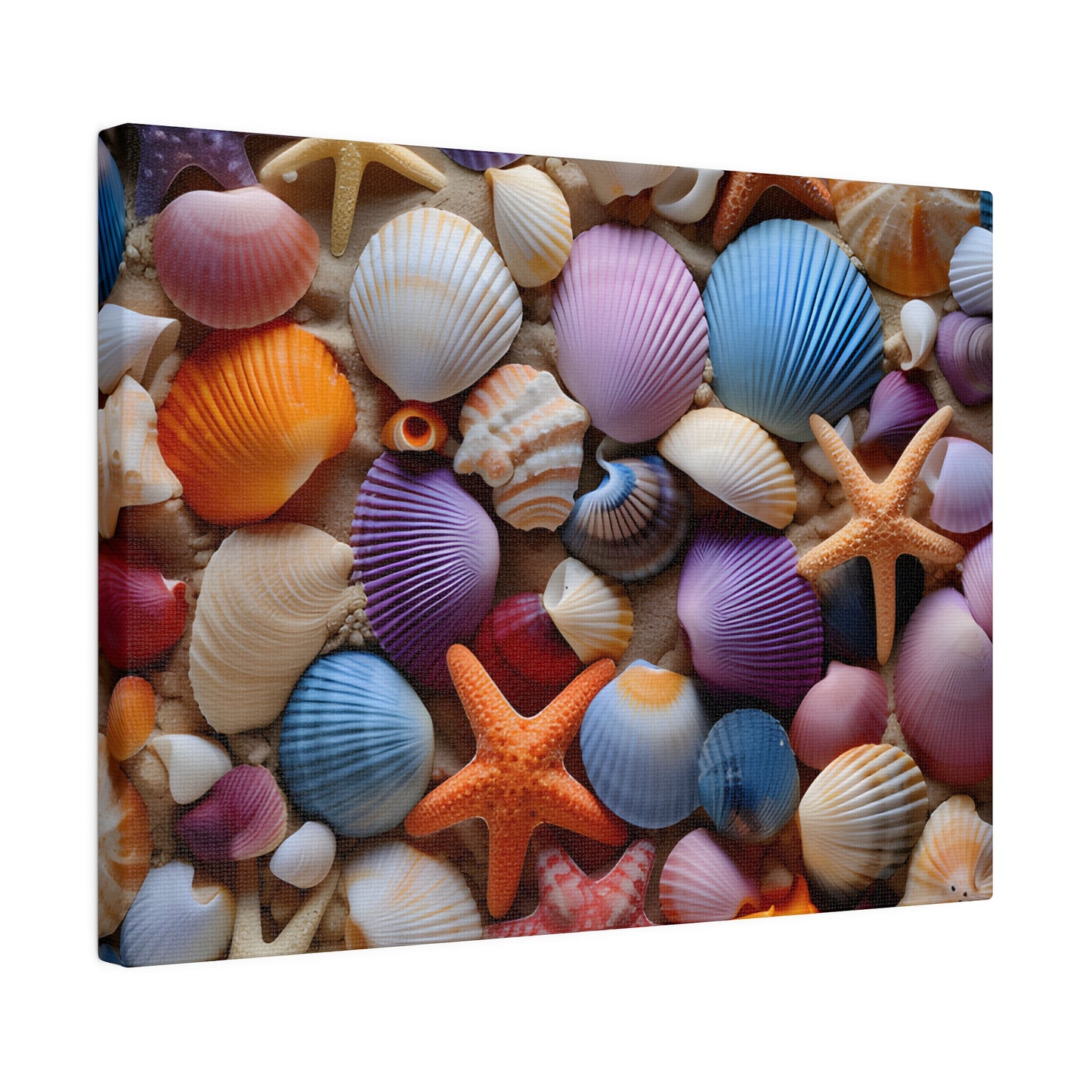 Starfish and Seashells Matte Canvas, Stretched, 0.75" pn003