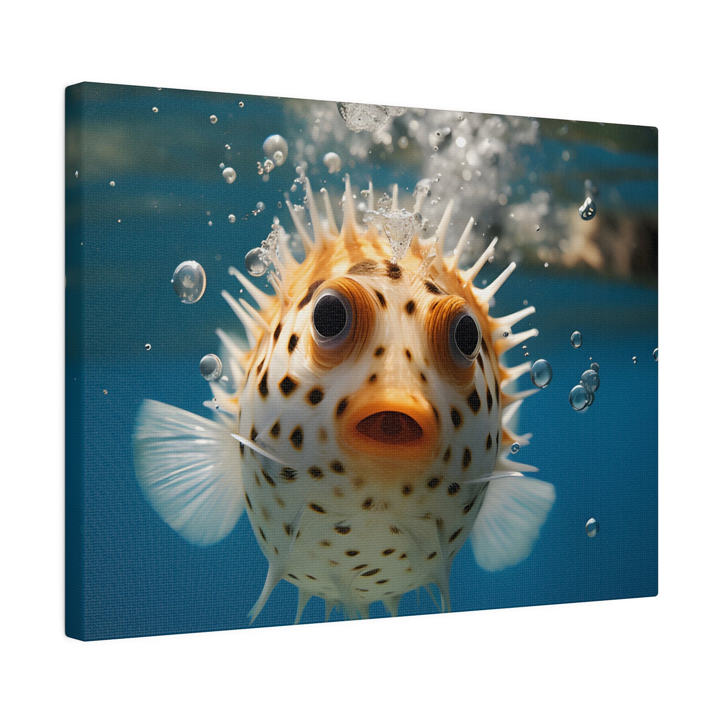 Pufferfish Matte Canvas, Stretched, 0.75" pn007