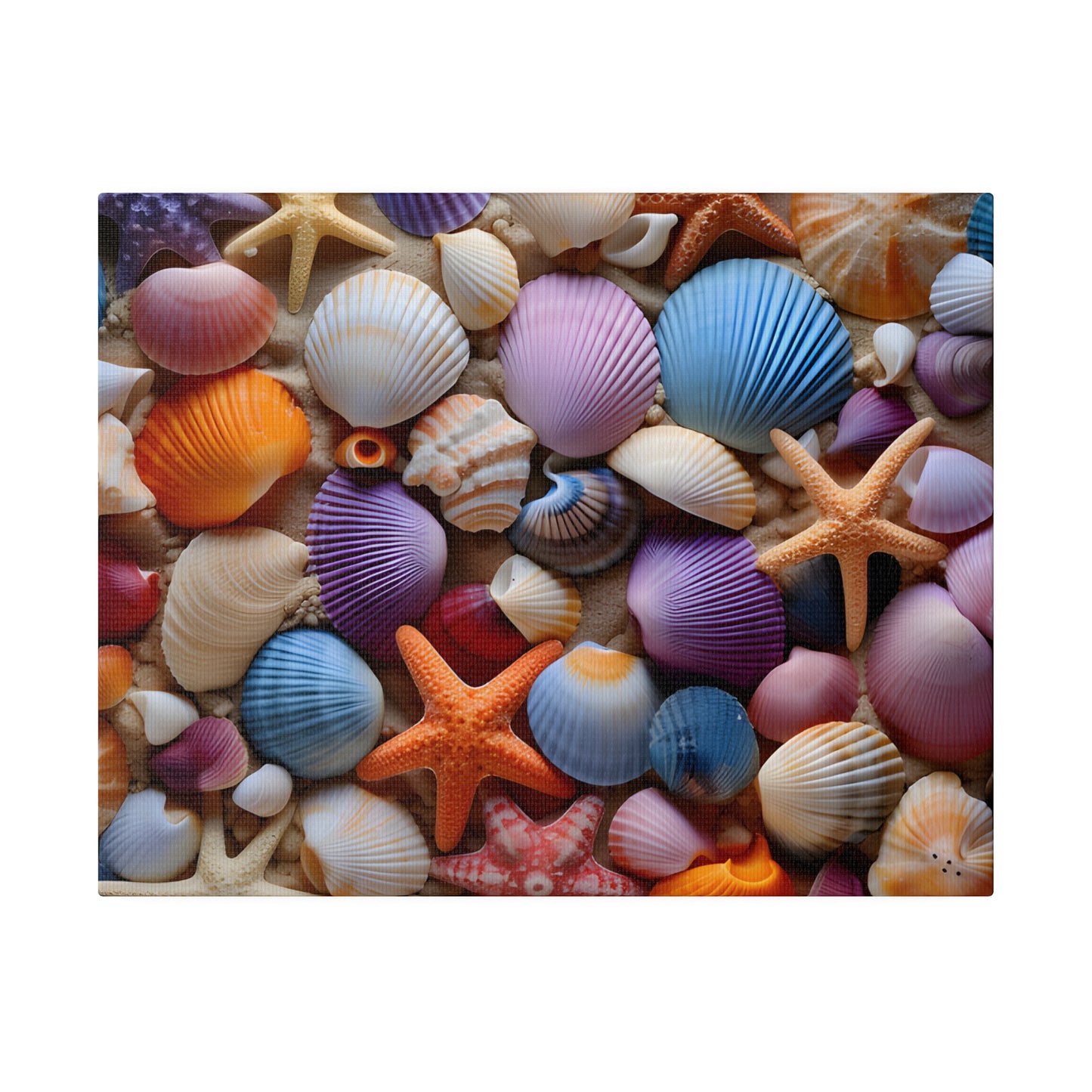 Starfish and Seashells Matte Canvas, Stretched, 0.75" pn003