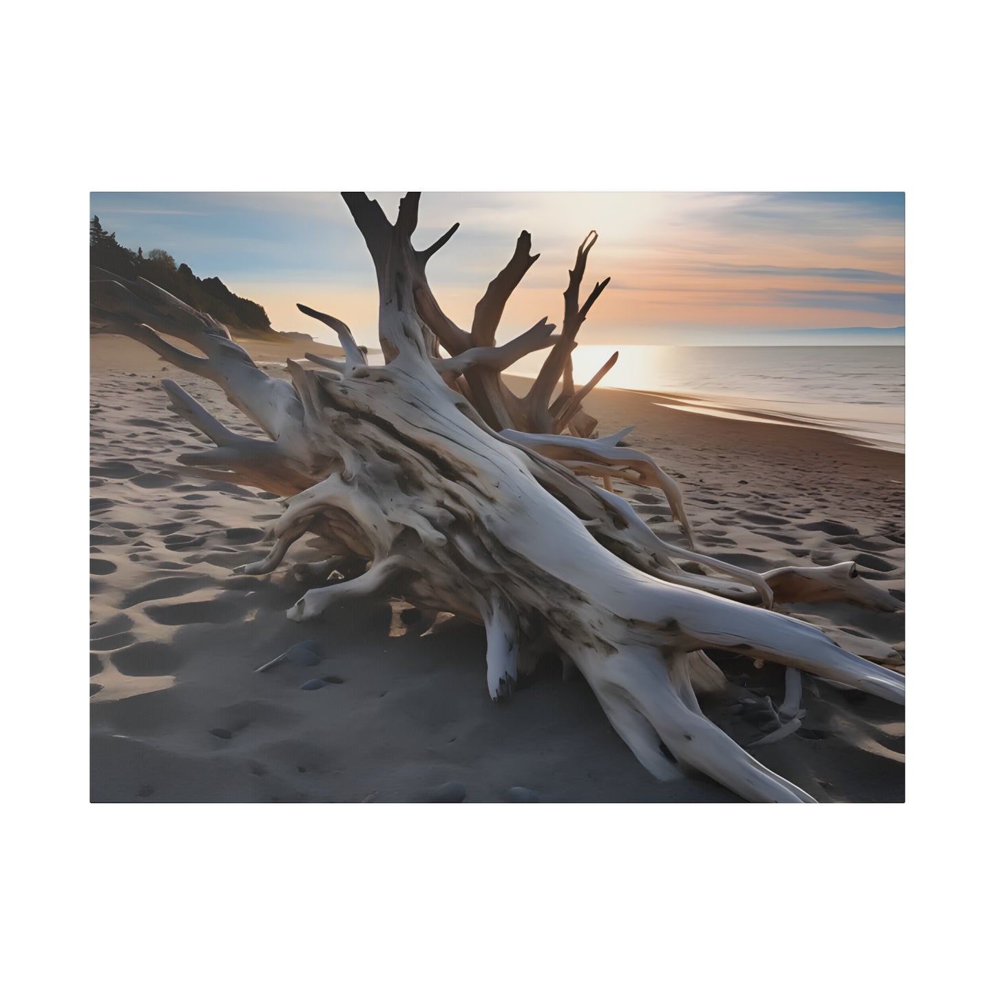 Drift Wood Matte Canvas, Stretched, 0.75" pn012