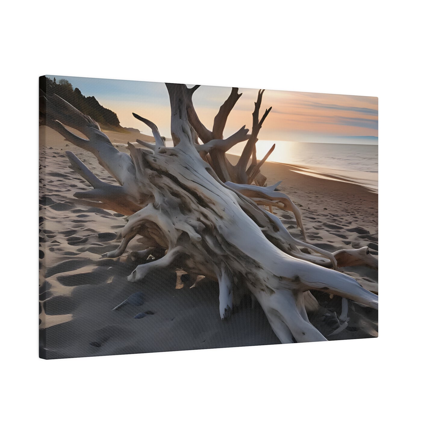 Drift Wood Matte Canvas, Stretched, 0.75" pn012