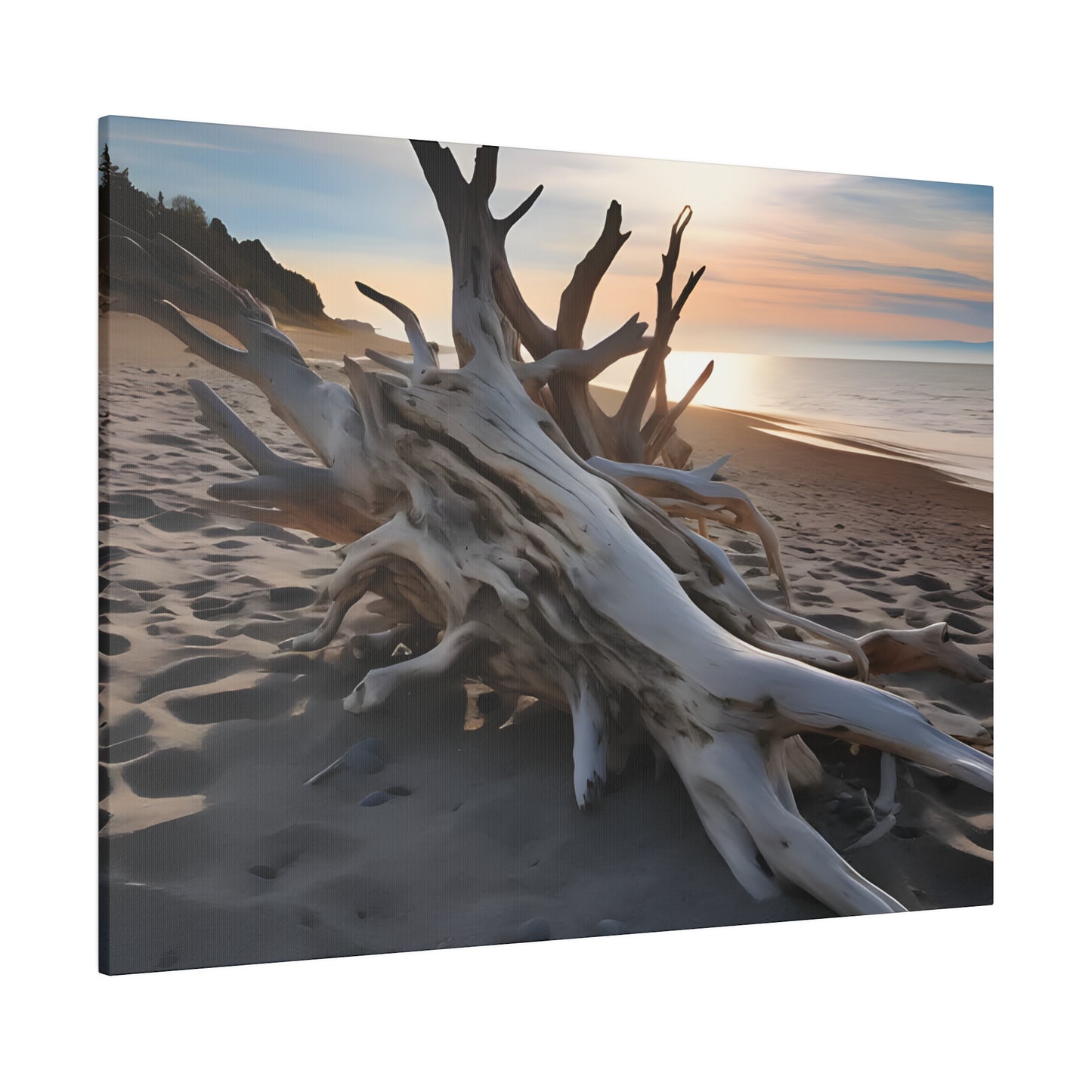 Drift Wood Matte Canvas, Stretched, 0.75" pn012