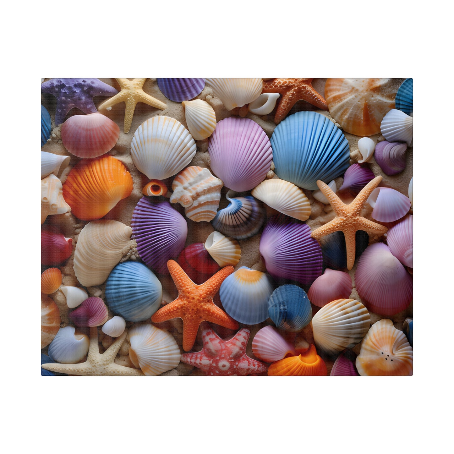 Starfish and Seashells Matte Canvas, Stretched, 0.75" pn003