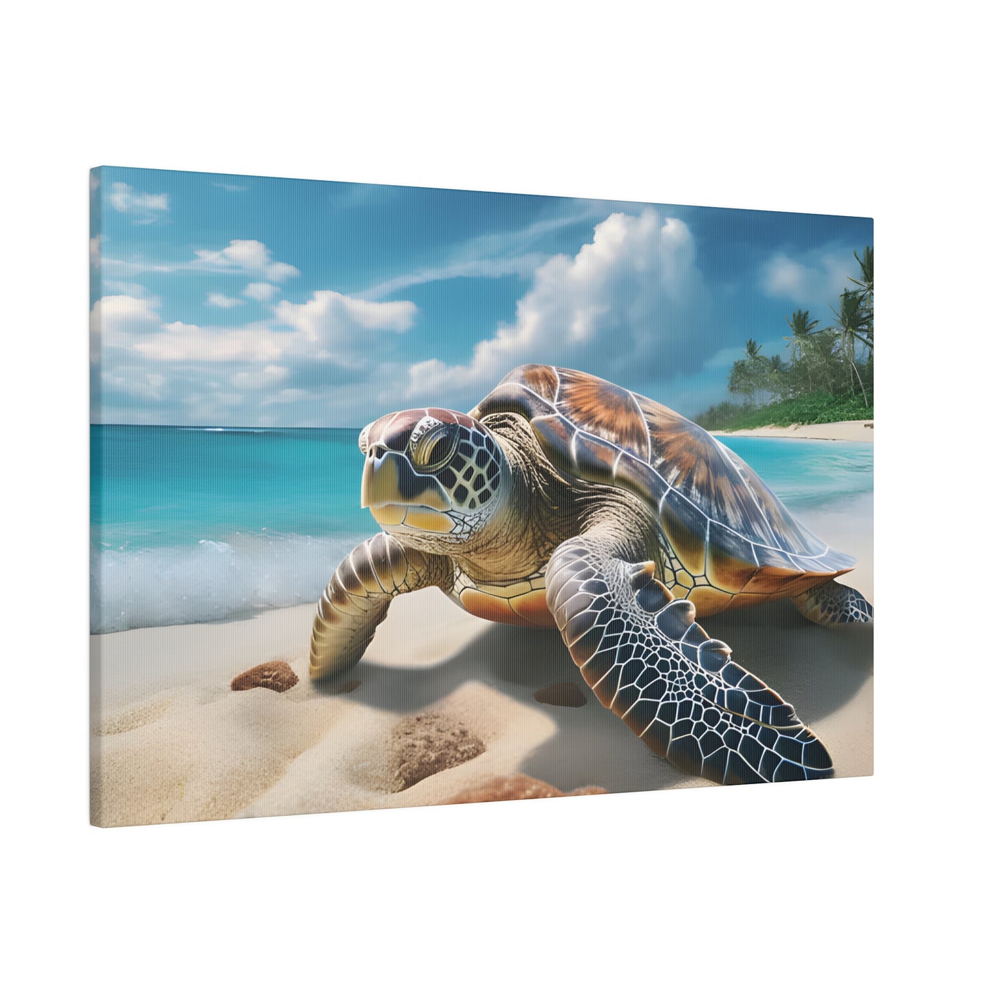 Sea Turtle Matte Canvas, Stretched, 0.75" pn019