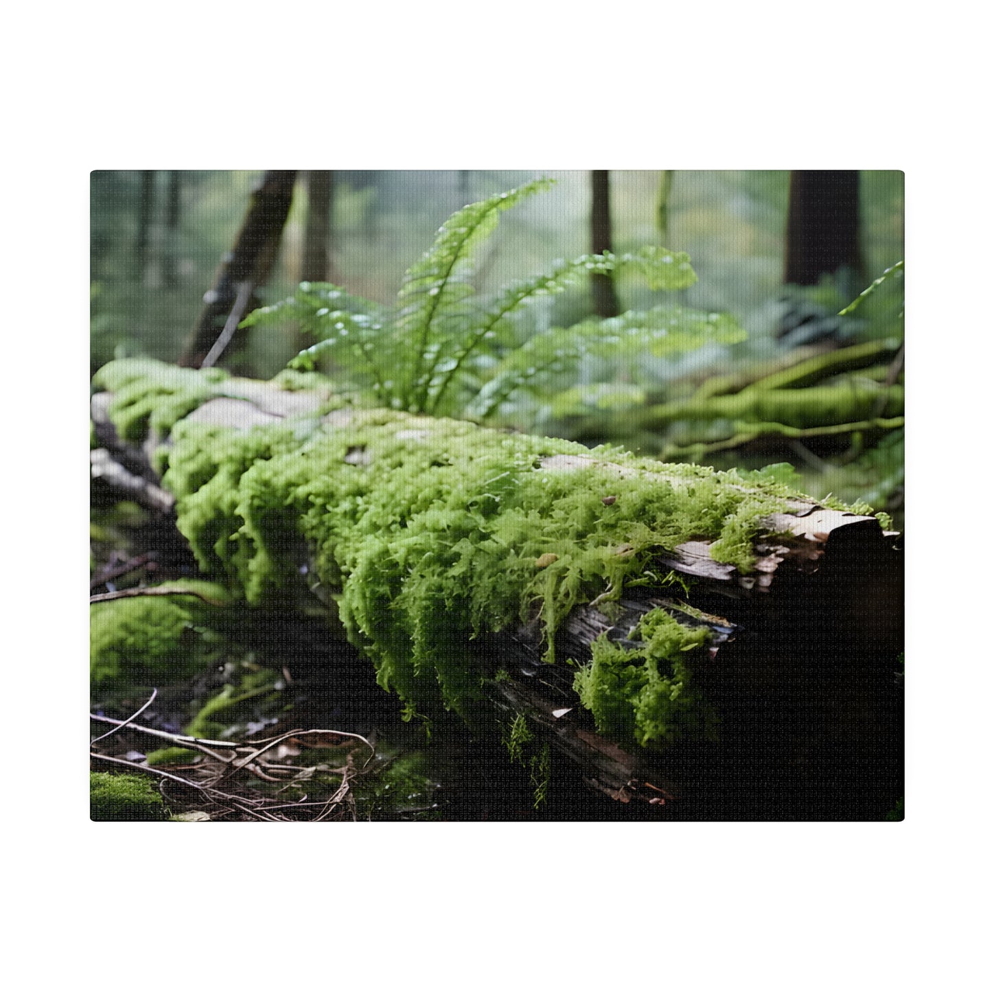 Mossy Log Matte Canvas, Stretched, 0.75" pn016