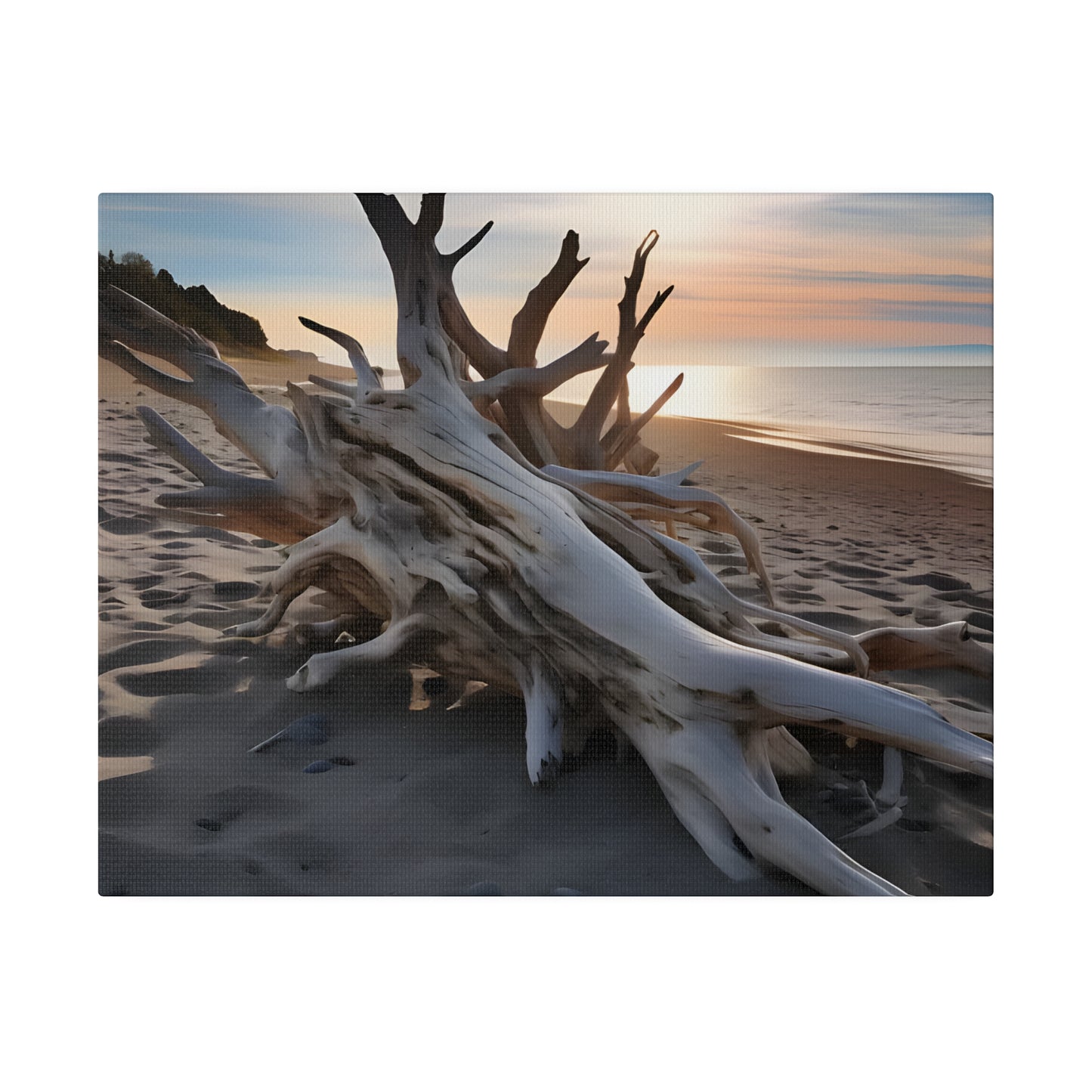 Drift Wood Matte Canvas, Stretched, 0.75" pn012