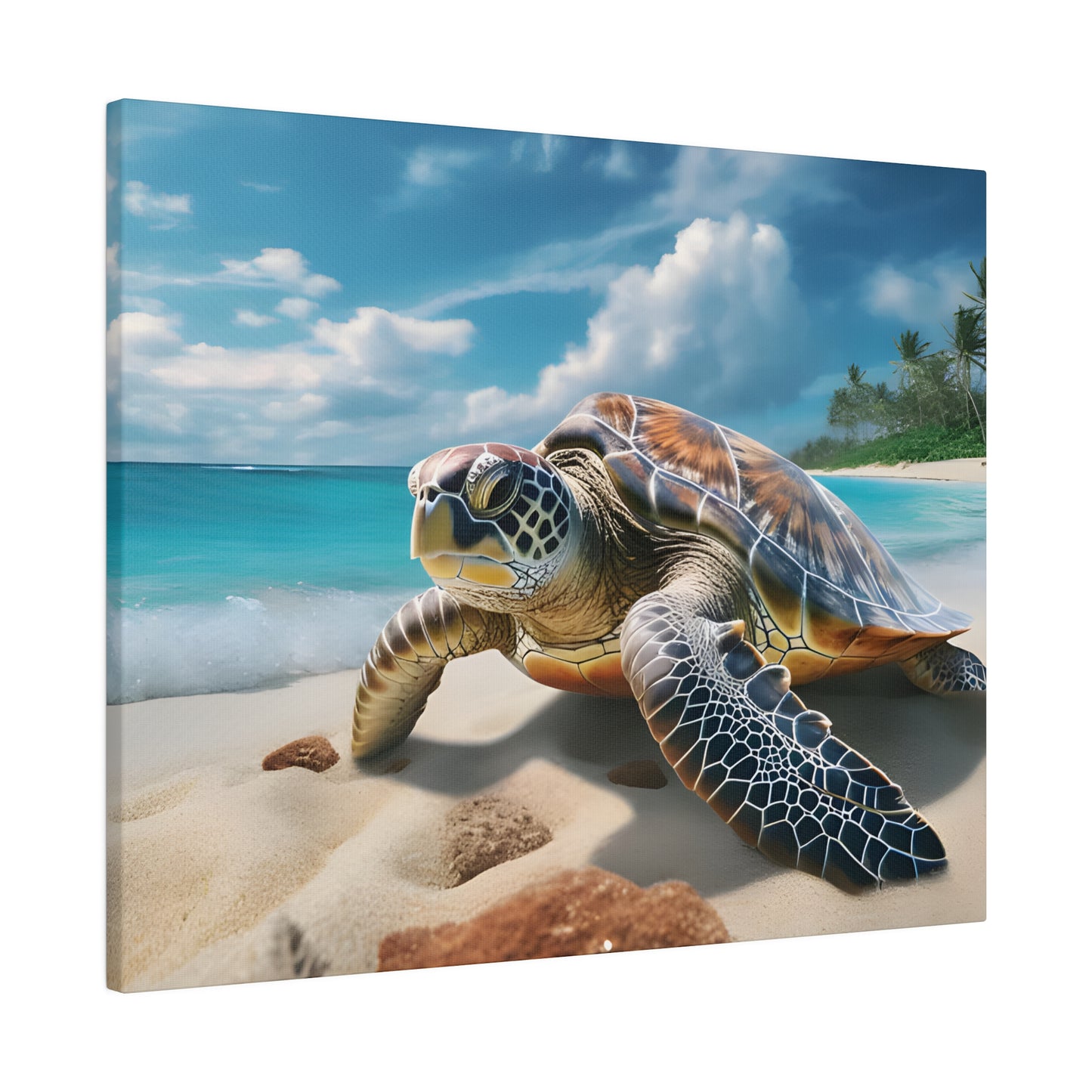 Sea Turtle Matte Canvas, Stretched, 0.75" pn019