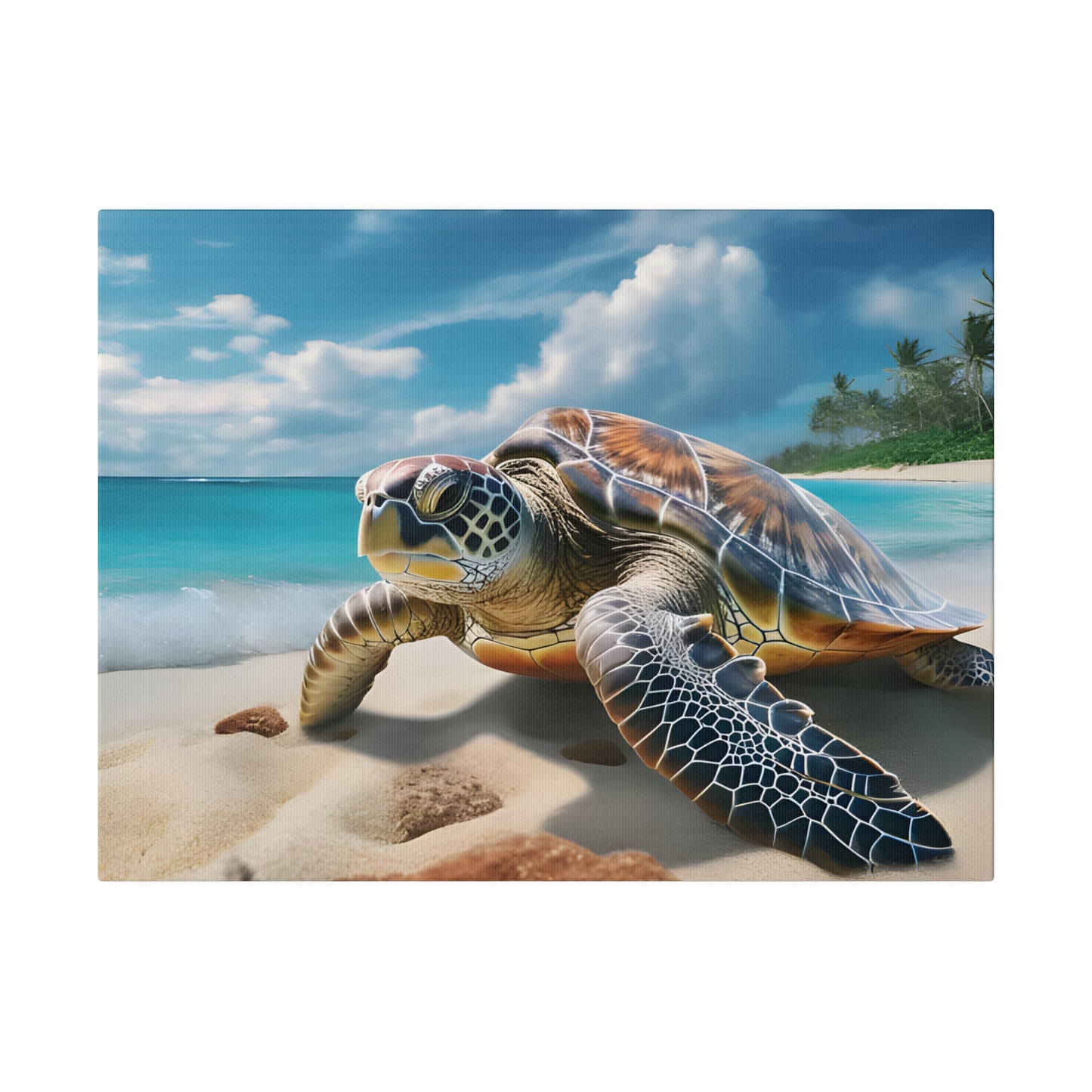 Sea Turtle Matte Canvas, Stretched, 0.75" pn019