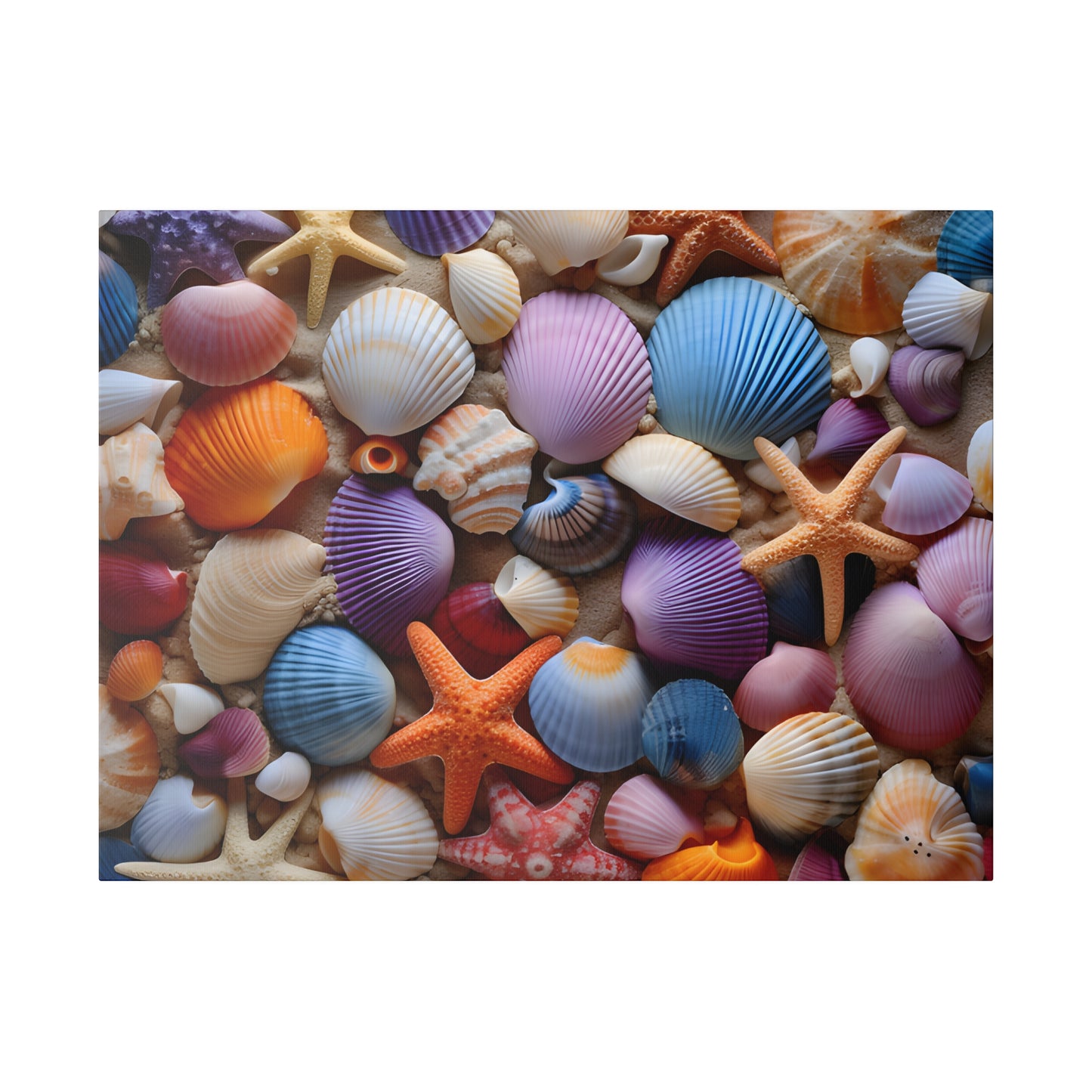 Starfish and Seashells Matte Canvas, Stretched, 0.75" pn003