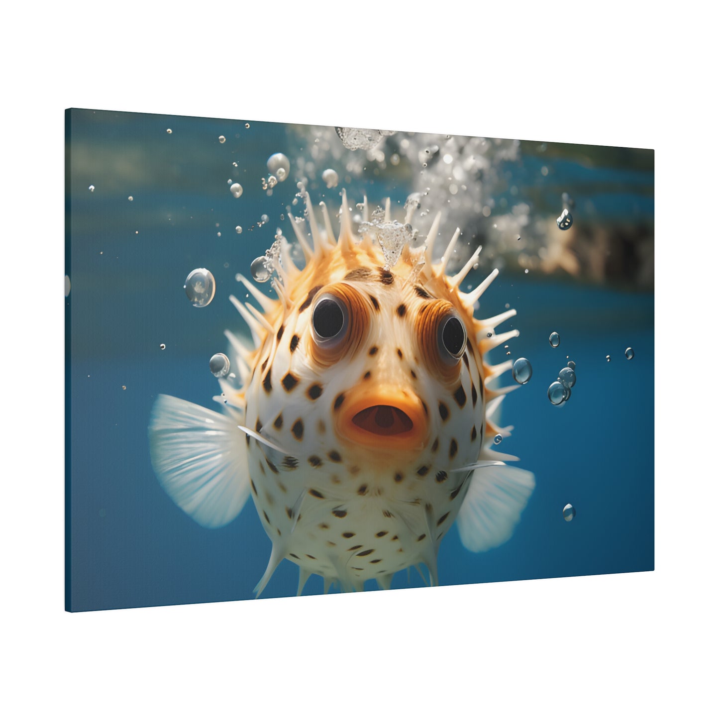 Pufferfish Matte Canvas, Stretched, 0.75" pn007