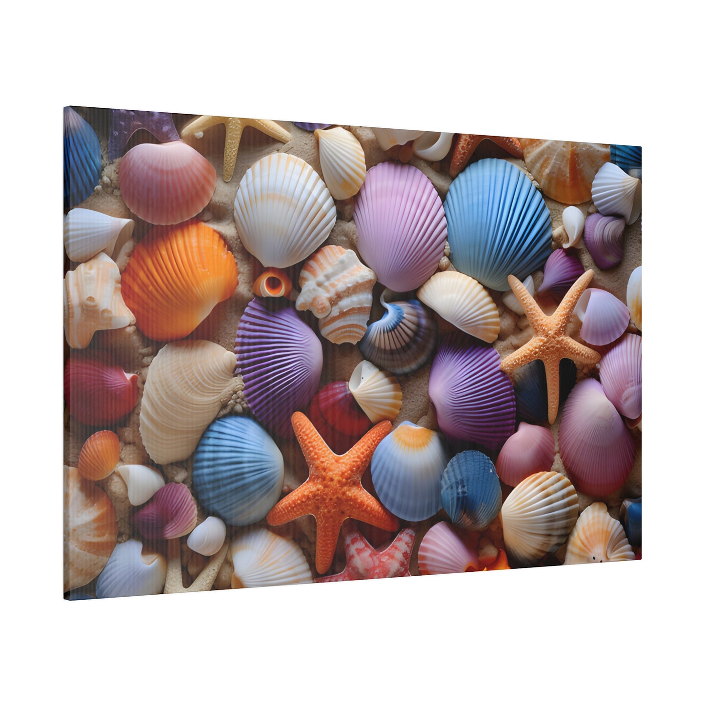 Starfish and Seashells Matte Canvas, Stretched, 0.75" pn003