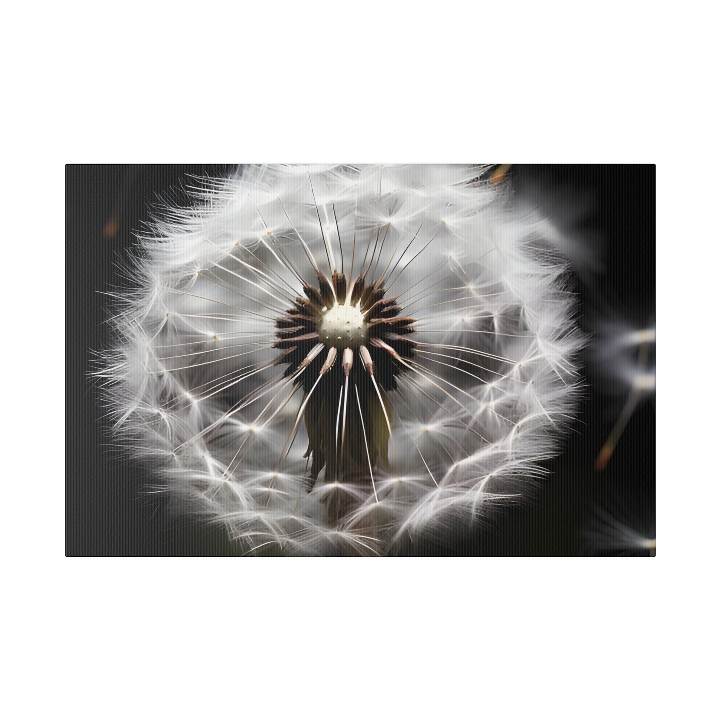 Dandelion Matte Canvas, Stretched, 0.75" pn022