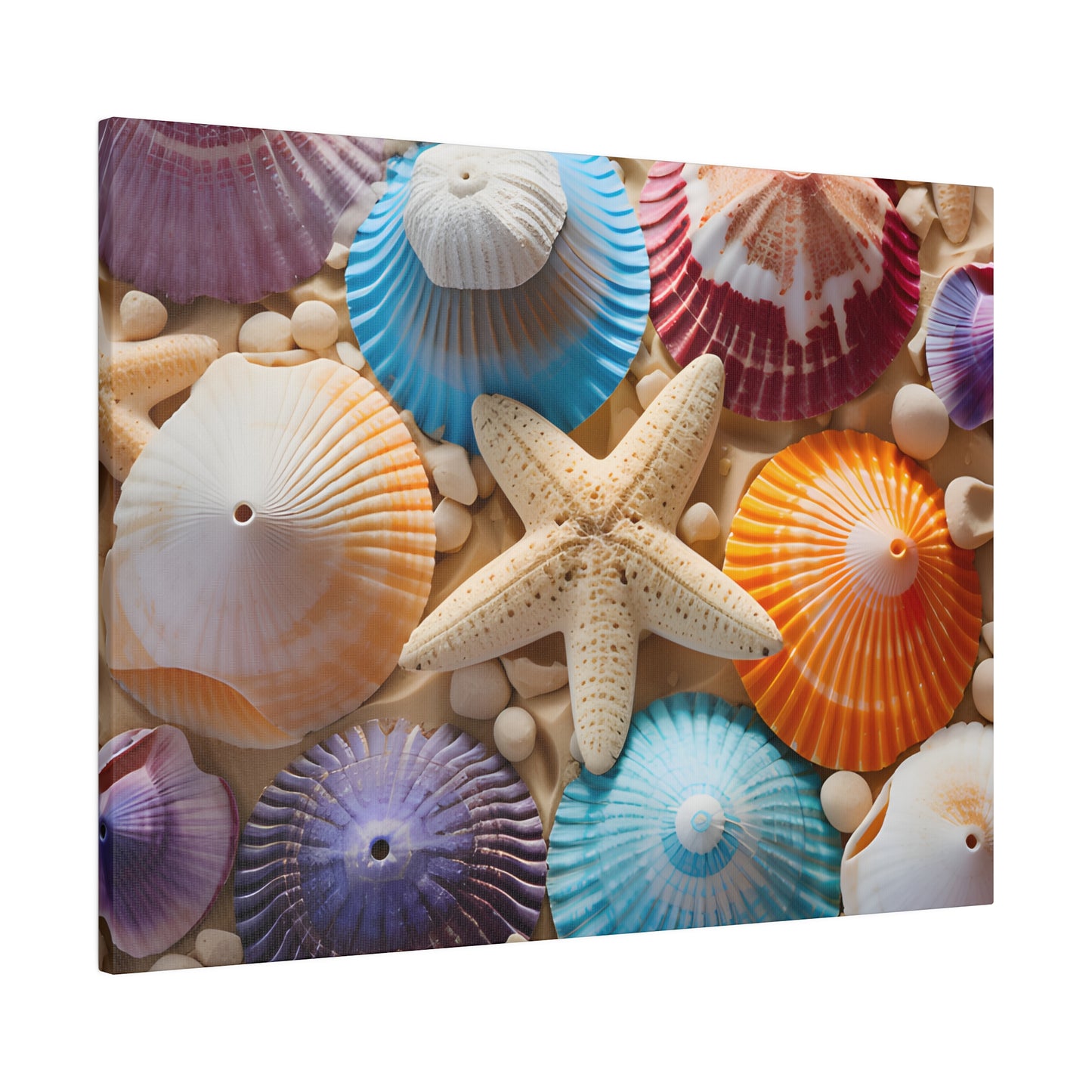 Starfish And Seashells  Matte Canvas, Stretched, 0.75" pn004