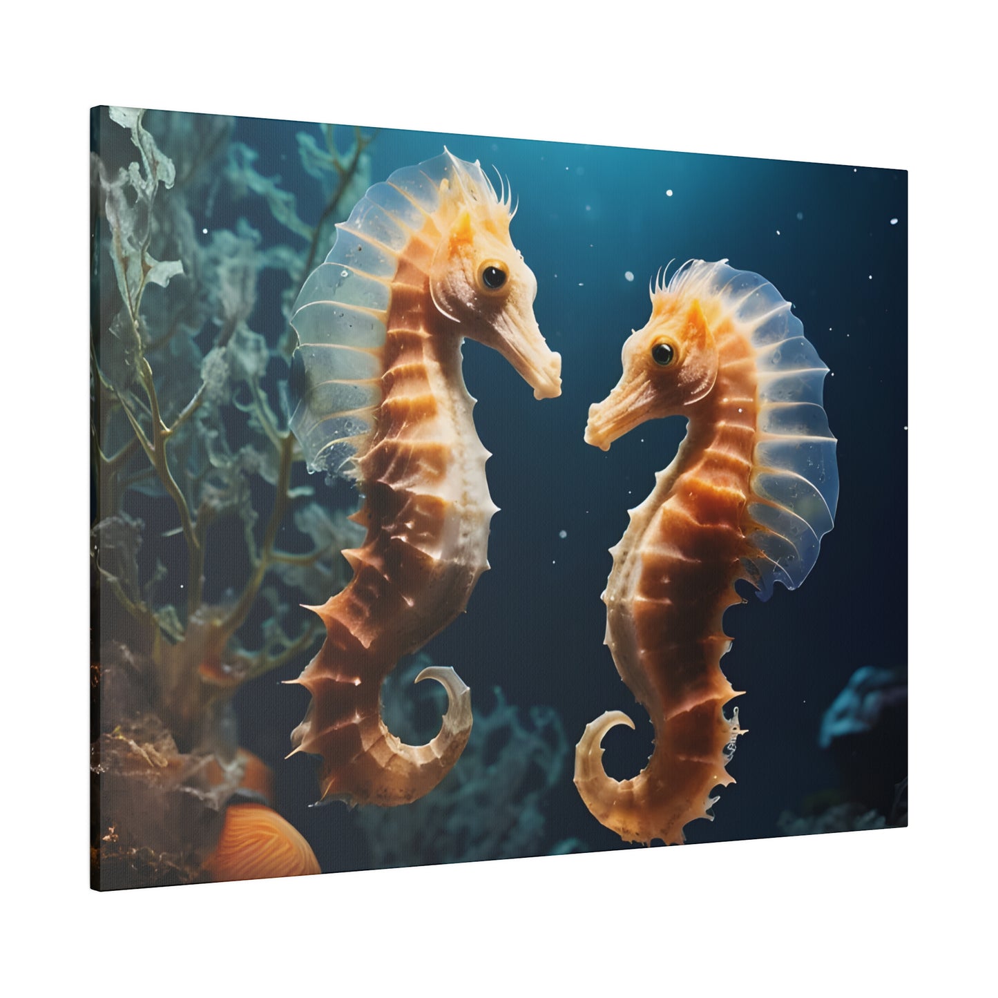 Seahorse Matte Canvas, Stretched, 0.75" pn008