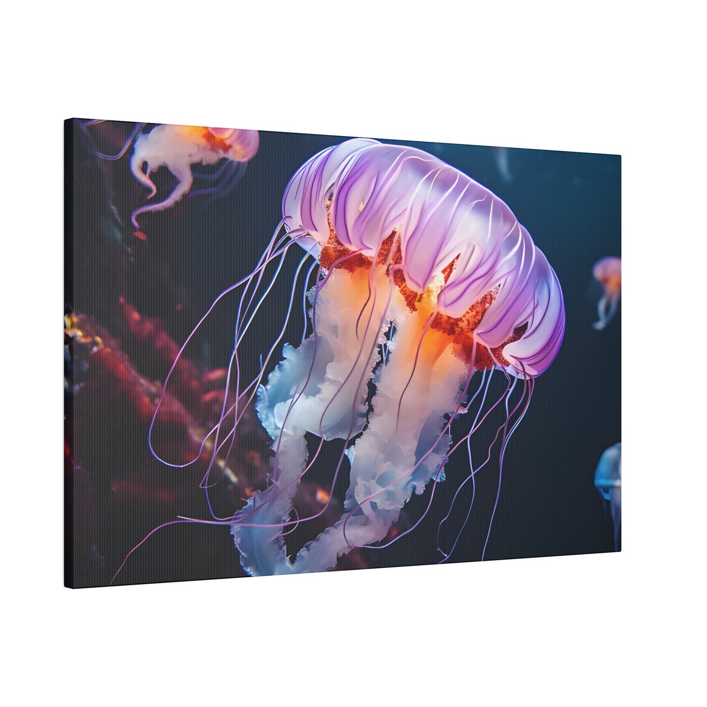 Jellyfish Matte Canvas, Stretched, 0.75" pn011