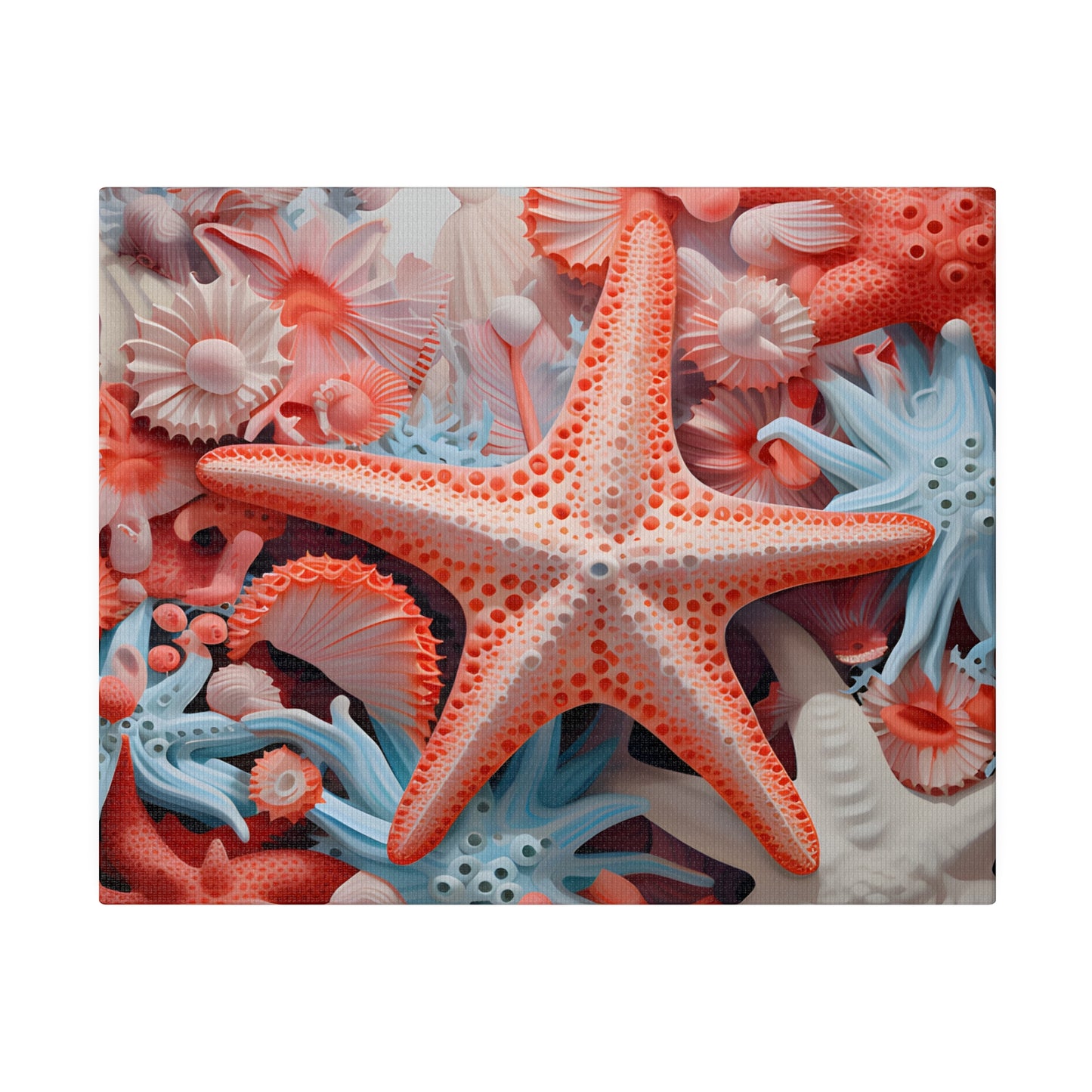 Starfish Matte Canvas, Stretched, 0.75" pn001