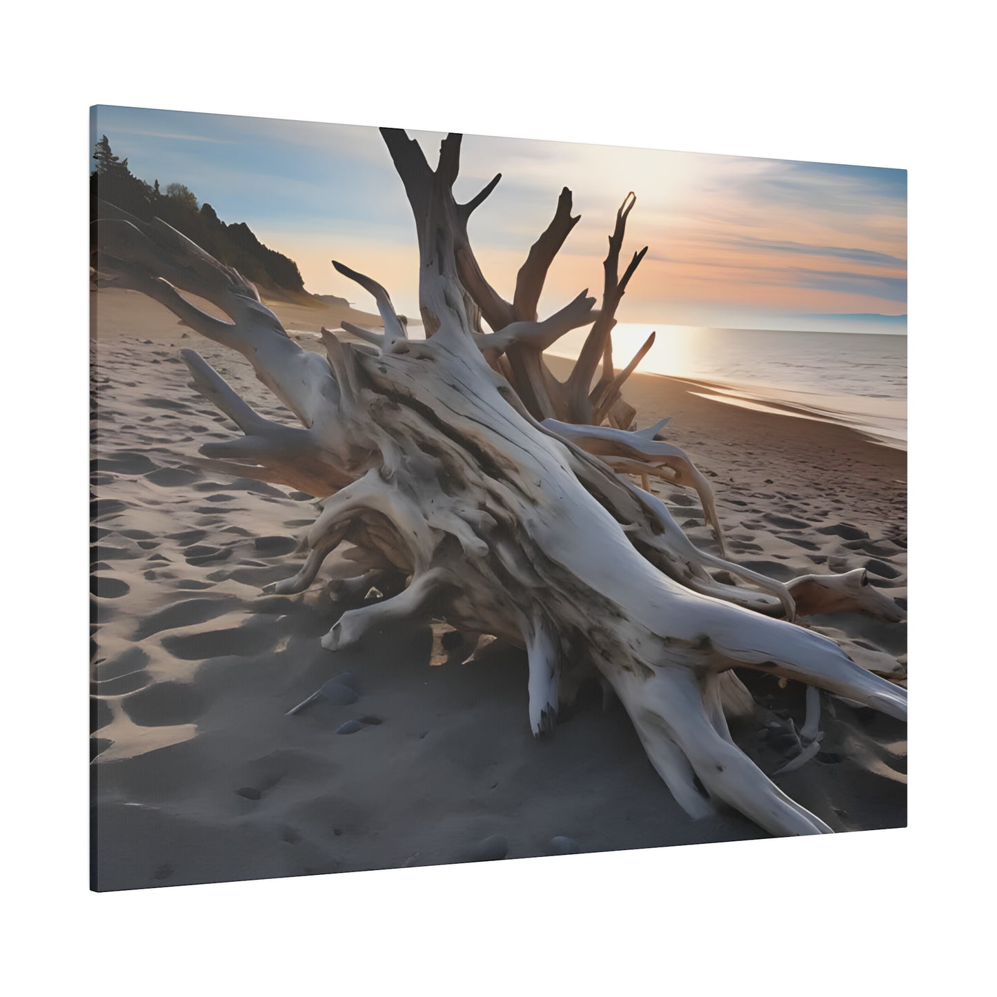 Drift Wood Matte Canvas, Stretched, 0.75" pn012