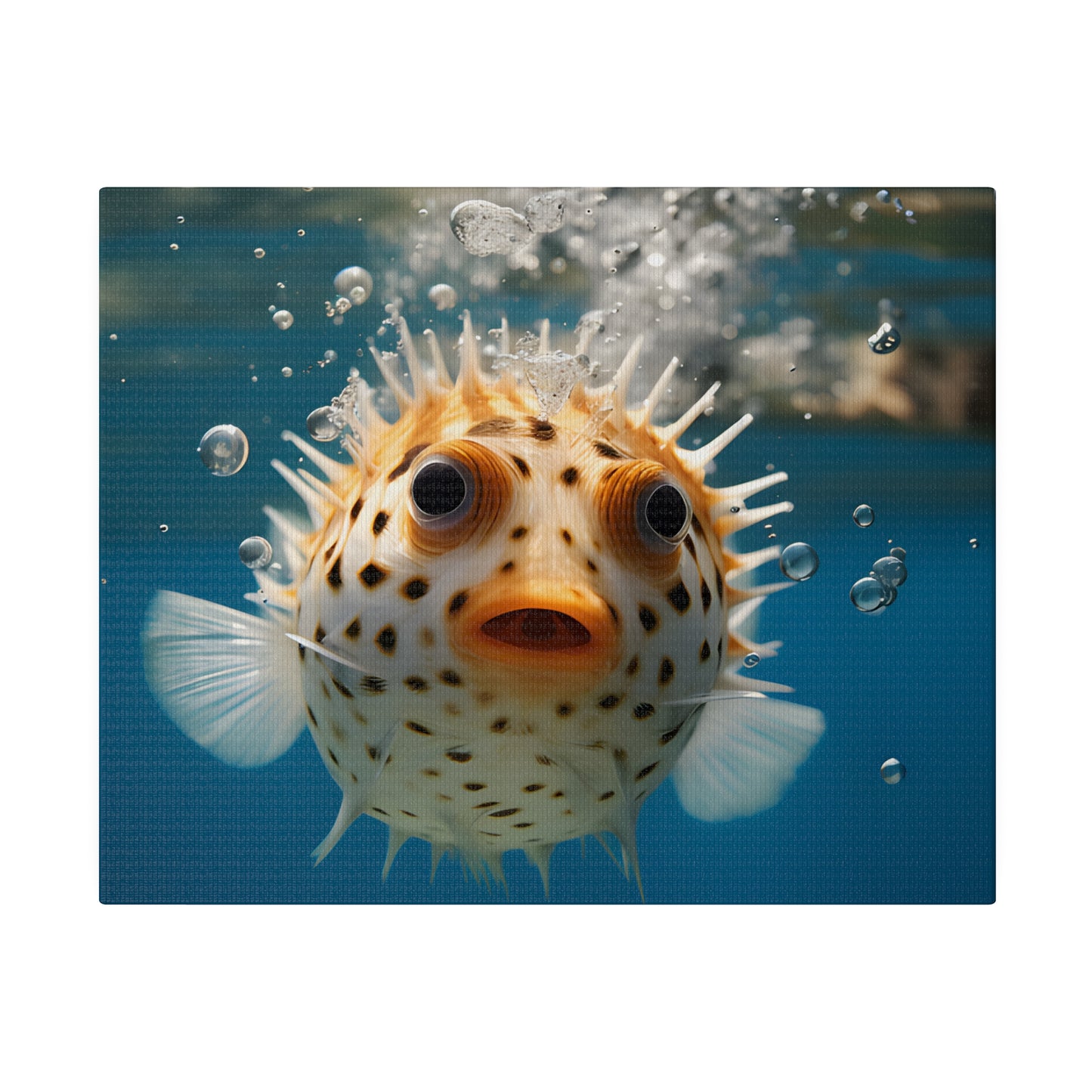 Pufferfish Matte Canvas, Stretched, 0.75" pn007