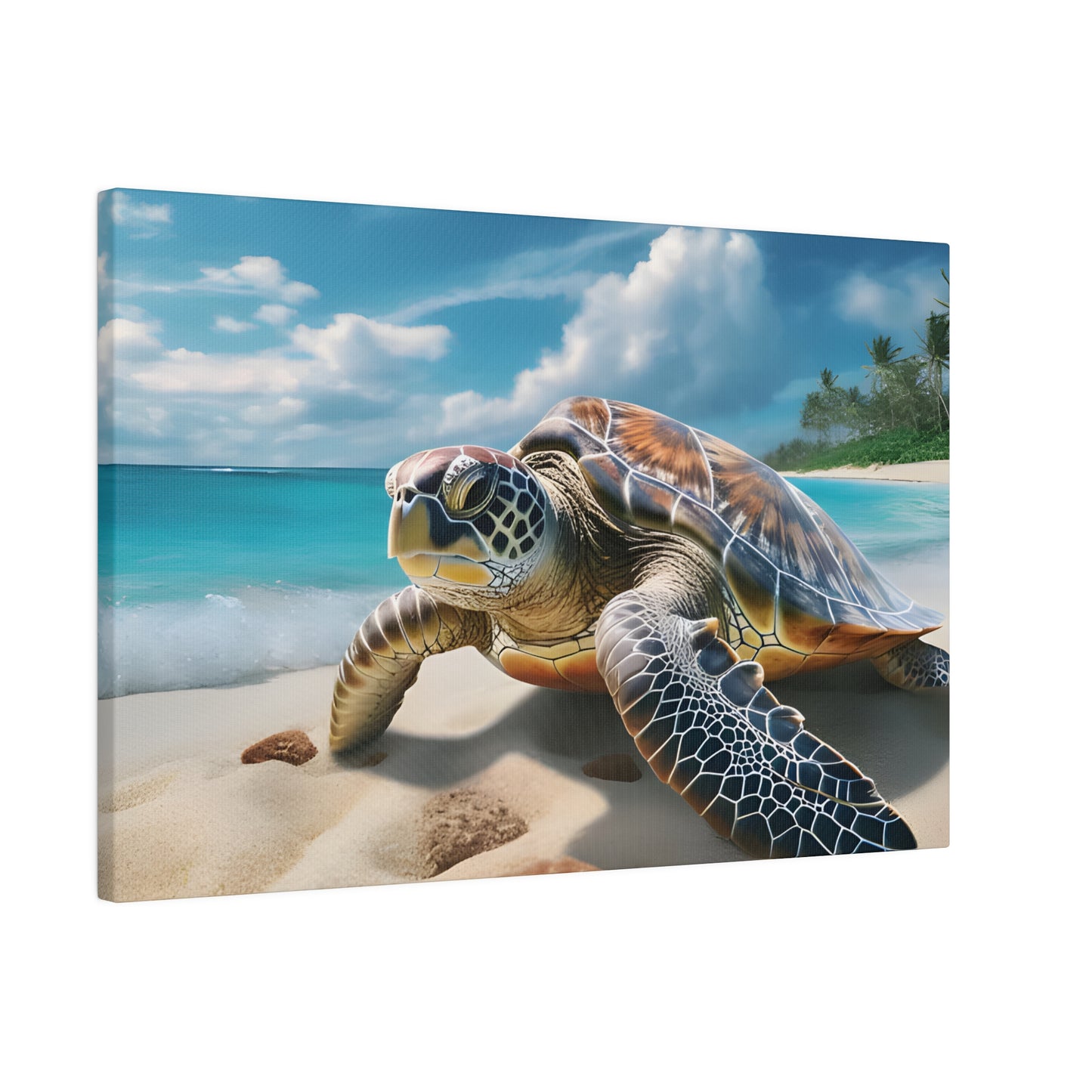 Sea Turtle Matte Canvas, Stretched, 0.75" pn019