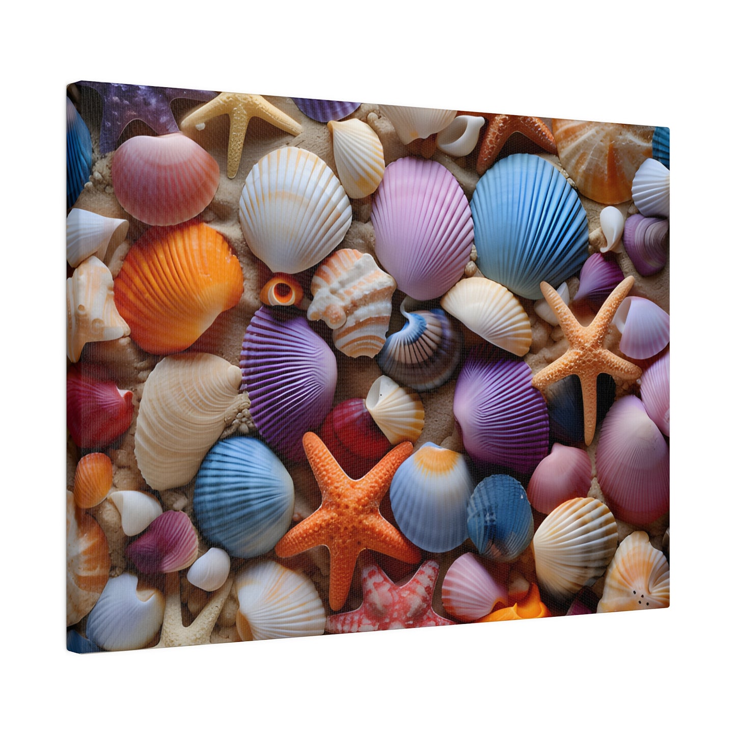 Starfish and Seashells Matte Canvas, Stretched, 0.75" pn003