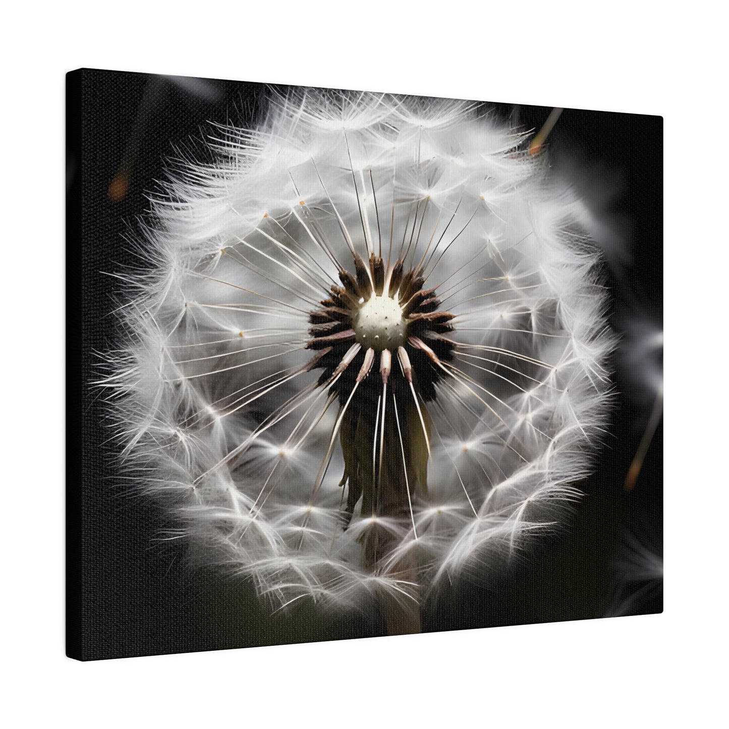 Dandelion Matte Canvas, Stretched, 0.75" pn022