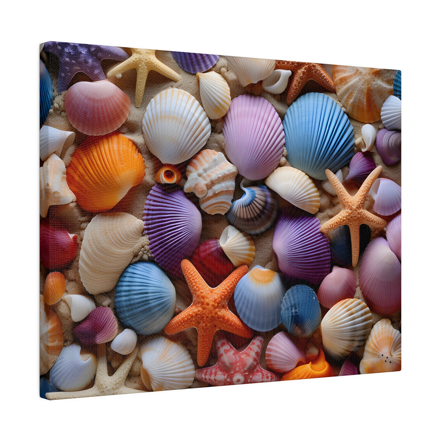 Starfish and Seashells Matte Canvas, Stretched, 0.75" pn003