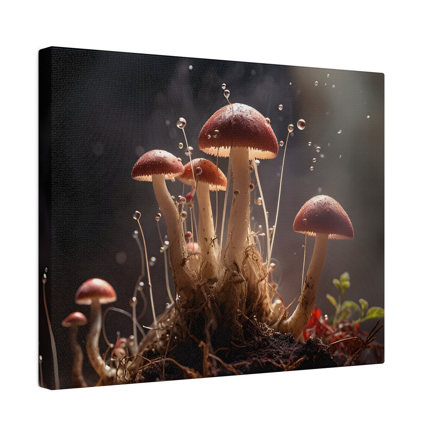 Tiny Mushrooms Matte Canvas, Stretched, 0.75" pn026