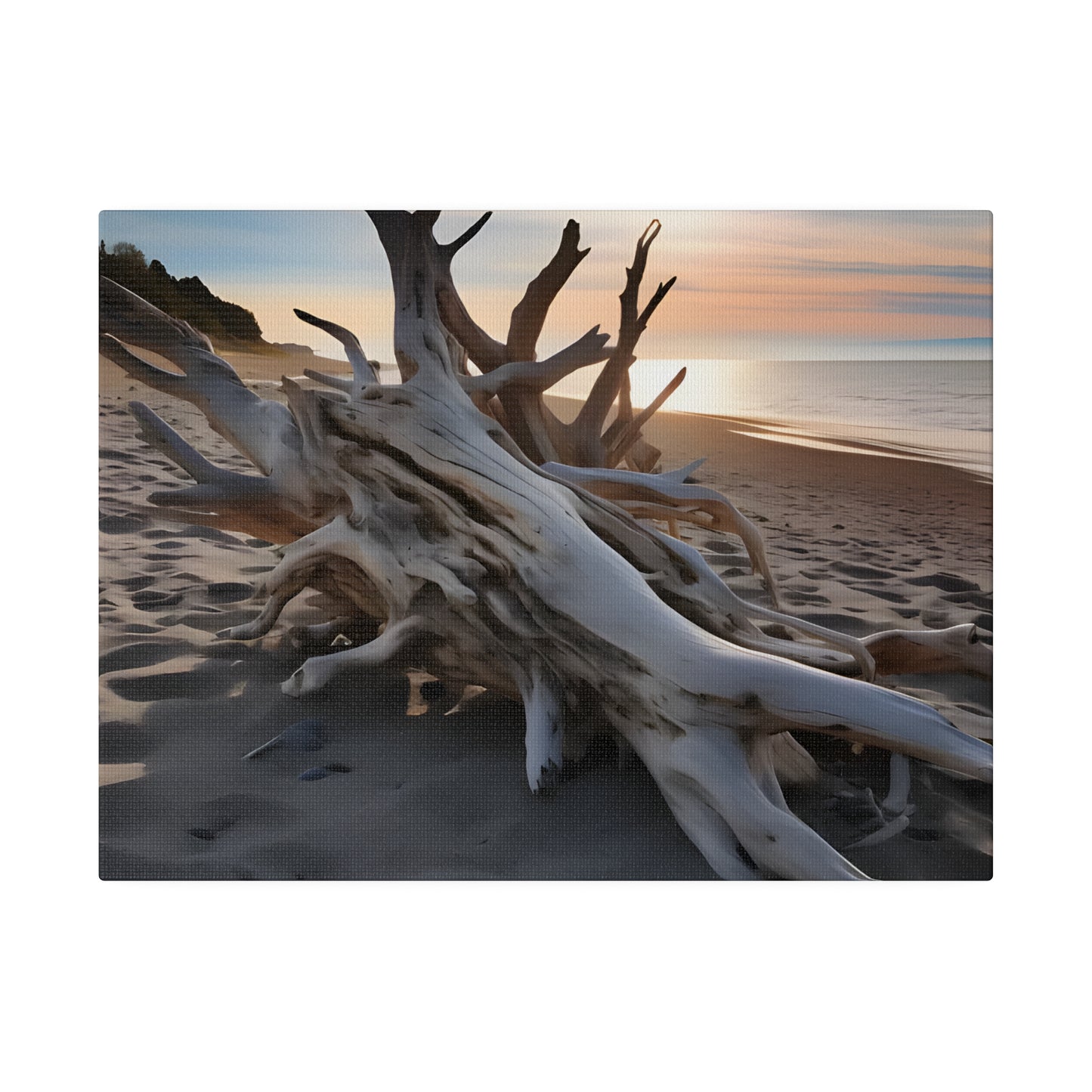 Drift Wood Matte Canvas, Stretched, 0.75" pn012