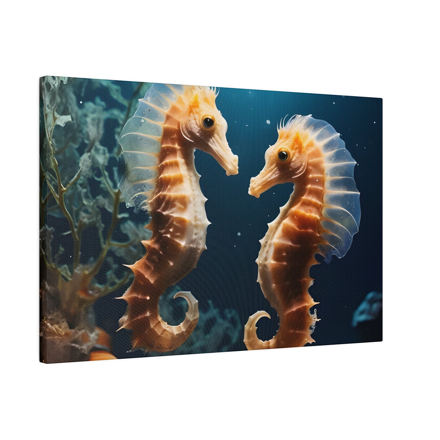 Seahorse Matte Canvas, Stretched, 0.75" pn008