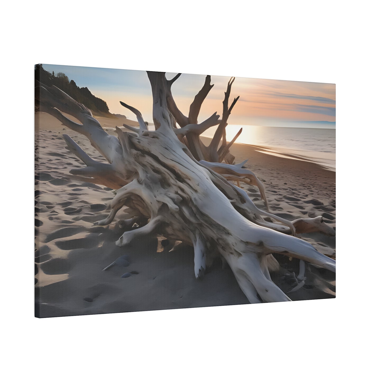 Drift Wood Matte Canvas, Stretched, 0.75" pn012