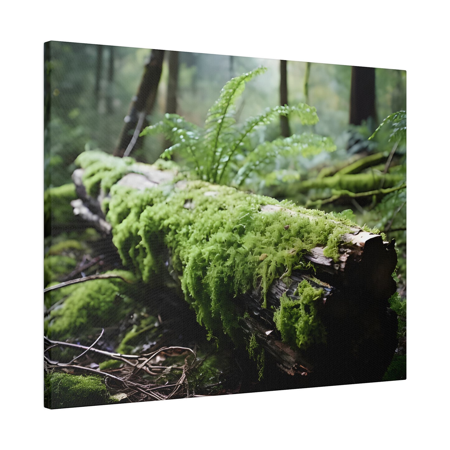 Mossy Log Matte Canvas, Stretched, 0.75" pn016