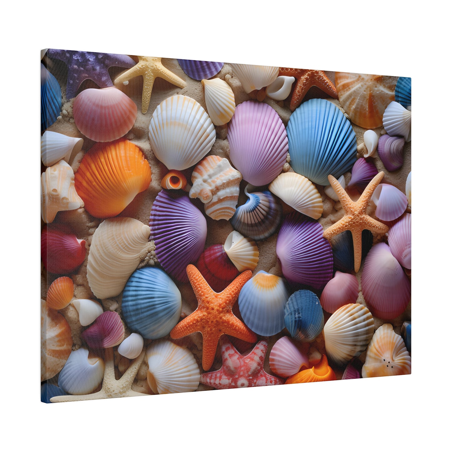 Starfish and Seashells Matte Canvas, Stretched, 0.75" pn003