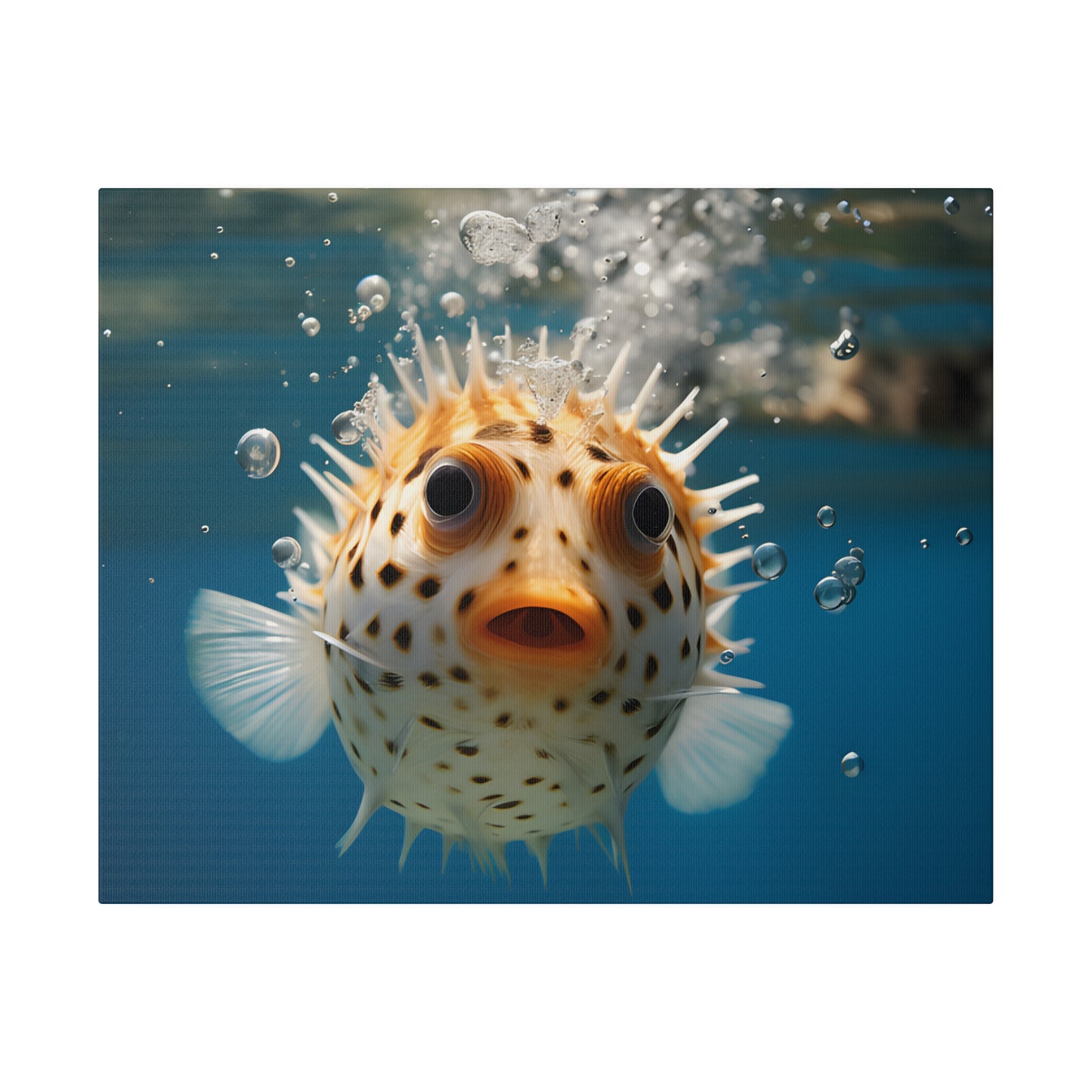 Pufferfish Matte Canvas, Stretched, 0.75" pn007